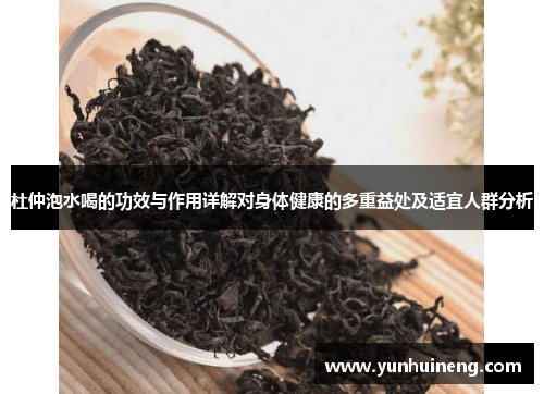 杜仲泡水喝的功效与作用详解对身体健康的多重益处及适宜人群分析