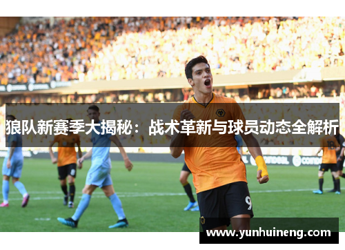 狼队新赛季大揭秘：战术革新与球员动态全解析